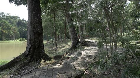 Kompleks pkns shah alam 4.03 km. Taman Botani Shah Alam Part 09 - YouTube