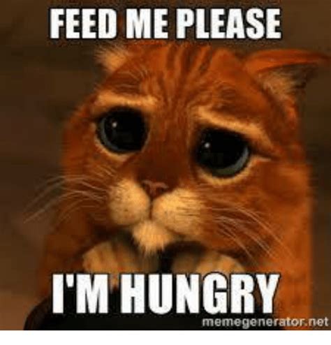 Feed Me Please I M Hungry Memegeneratornet Hungry Meme On Sizzle