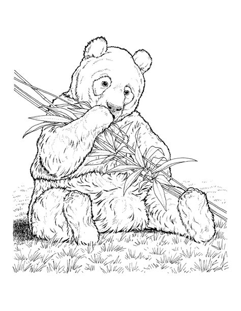 Endangered Species Coloring Pages At Getdrawings Free Download