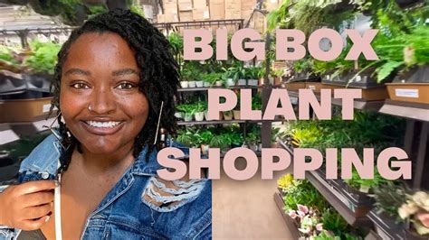 Big Box Plant Shopping At Lowes Youtube