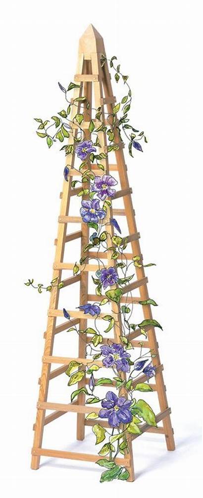 Trellis Garden Diy Plants Wood Simple Ladder