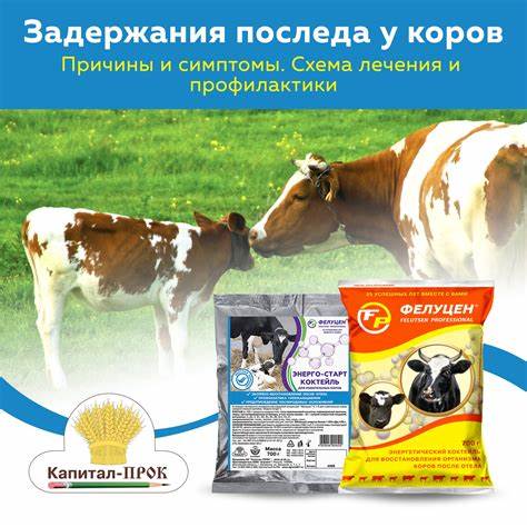 Последствия безуглеводной диет Задержания последа у коров. Причины и симптомы. Схема лечения и Задержания последа у коров. Причины и симптомы. Схема лечения и Последствия безуглеводной диет