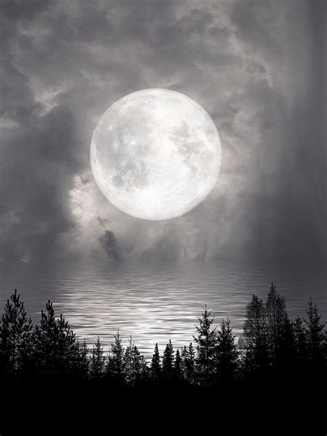 Full Moon Lake Moonlight Night Free Image On Pixabay