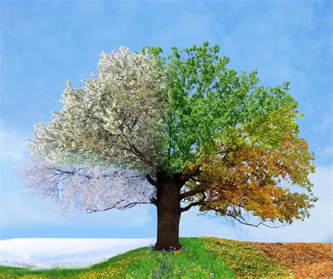 On Changing Seasons (and Not the Ones that Trigger Allergies) - Dr