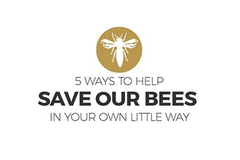 Free Download 5 Ways To Help Save Our Bees Printable Pdf Save Our Bees Australia
