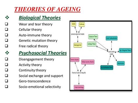 Human Ageing Process