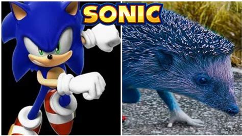 Sonic In Real Life Sonic The Hedgehog Chapter 1 Youtube