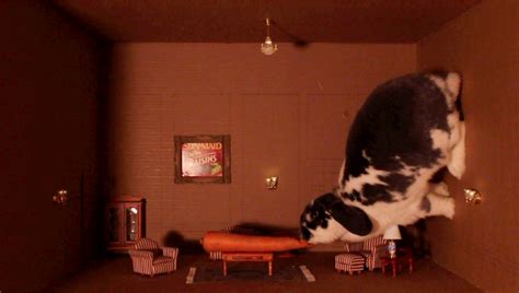 .fred astaire famous ceiling dance magic dance epic scene legendary dance, fred astaire royal wedding, royal wedding fred astaire jane powell full length musical comedy movie english hd 720p, fred astaire en el gimnasio en bodas reales royal wedding 1951 cinetel. Wallace recreates Fred Astaire's Ceiling Dance | Fred ...