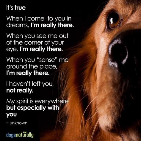 Its True ️ Dog Poems Dog Quotes Dogs And Puppies