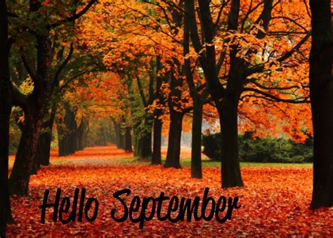 Hello September. | Everyday Grace