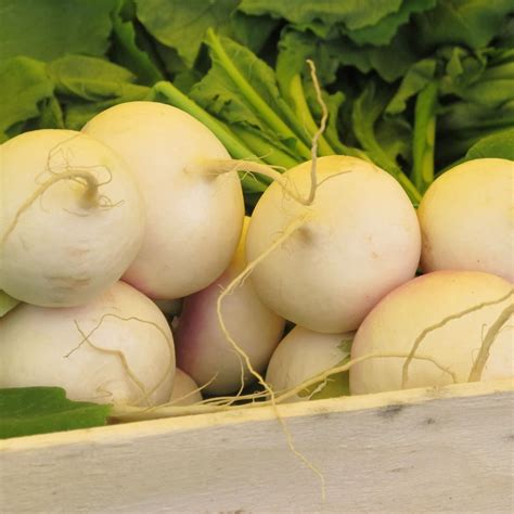 Paris Farmers Market | Farmers market, Paris pictures, Natural gifts