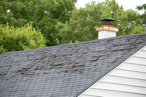 What Causes Delamination Of Roof Sheathing Roofkeen Com