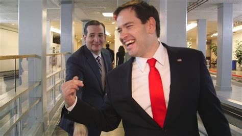Rubio Were Going To Abide By Law On Gay Marriage Cnnpolitics