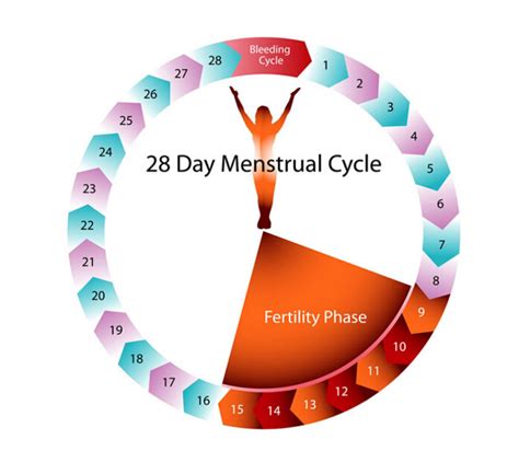 As a general rule, once they're settled, you'll have a period every 28 to 30 days and it will last 3 to 7 days. Is It Normal Having Period Twice in One Month? | New ...