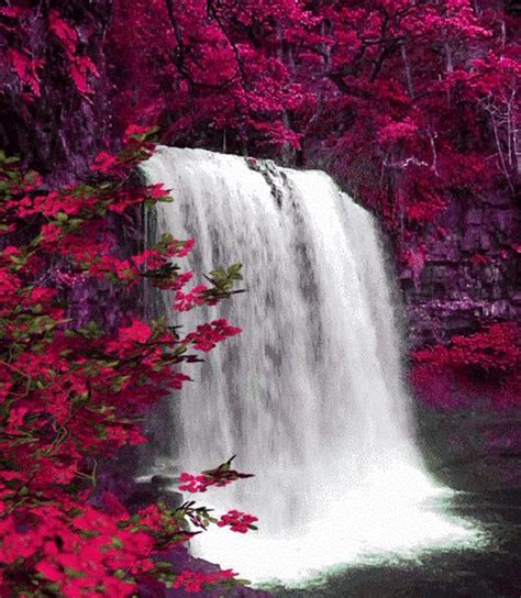 Cascada y flores fucsia | Paisaje de fantasía, Hermosos ...