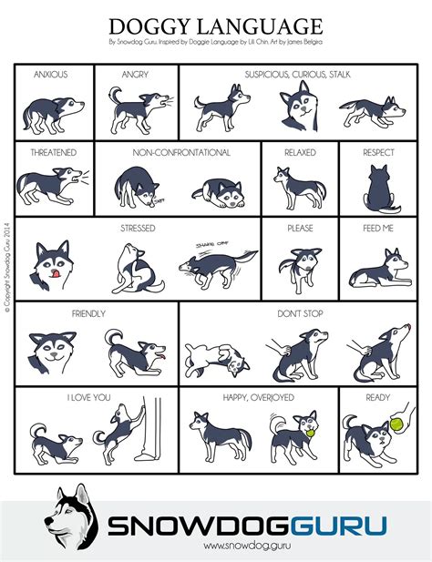 Puppy Body Language Chart How To Read Your Dog S Body Language Modern