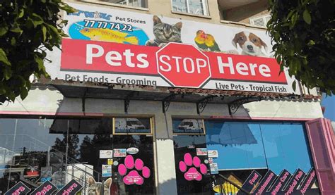 What Everyone Does When It Comes To Finding Complete Pet Store And What