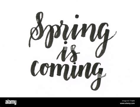 Spring Is Coming Hand Lettering Inscription In Black Stock Photo Alamy