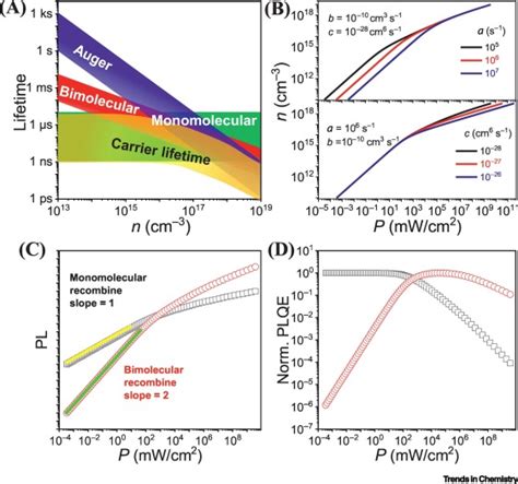 Carrier Dynamics And Evaluation Of Lasing Actions In Halide Perovskites