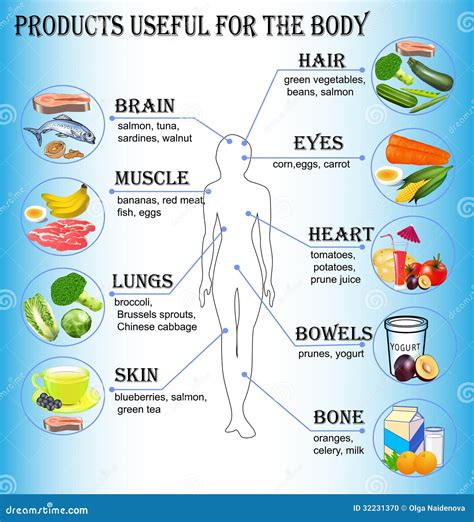 Of Products Useful For The Human Body Stock Photo Image 32231370