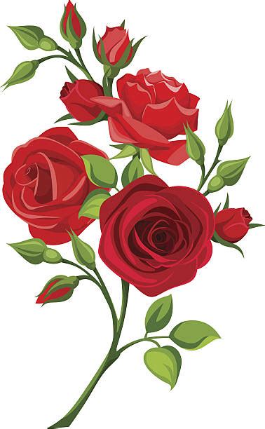 Best Rose Bud Illustrations Royalty Free Vector Graphics And Clip Art