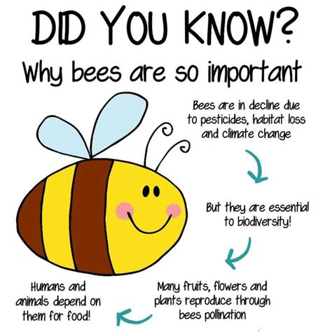 Why Bees Are So Important 🐝 Bee Bee Facts Bee Activities