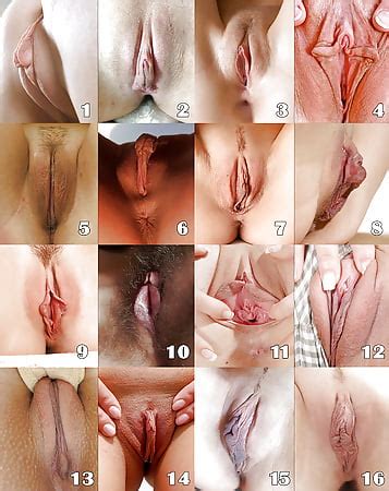 Select Your Favorite Pussy Shape Pics Xhamster