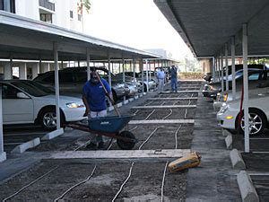 Services offered by all seasons pest control: Cut Rite Landscaping - Landscaping - Professional ...