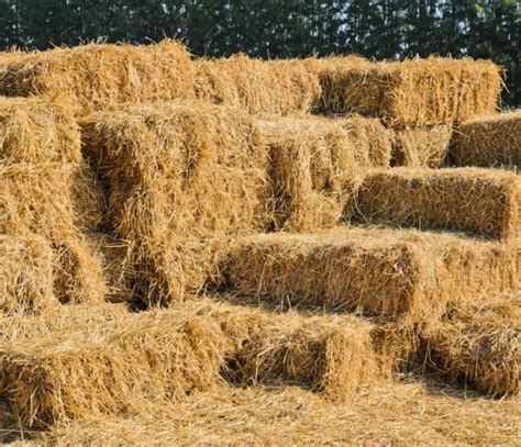 Straw Hay Bales — Stock Photo © Boonsom 24716349