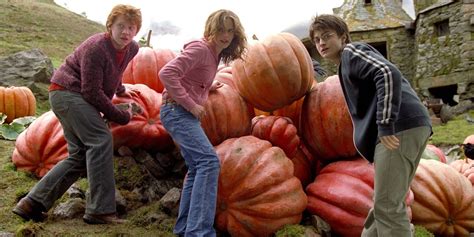 O 3º ano de ensino na escola de magia e bruxaria de hogwarts se aproxima. Harry Potter e o Prisioneiro de Azkaban | Trailer ...