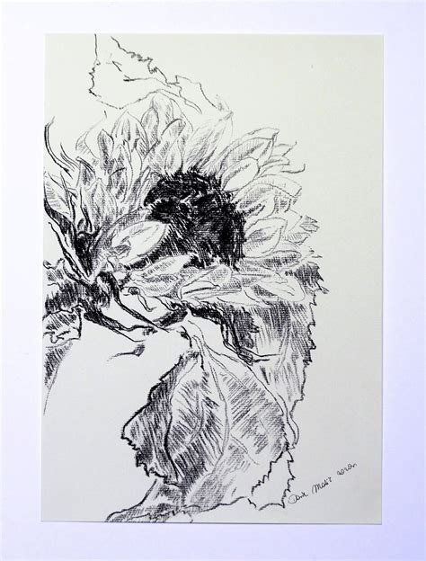 100 Hand Drawing Charcoal Expressive Sunflower 2 Etsy