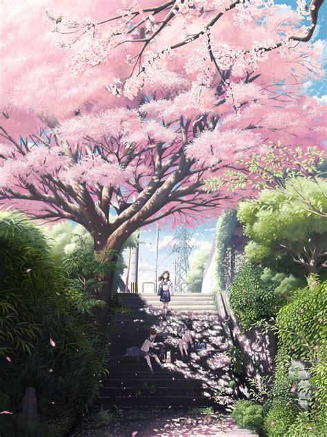 Cherry Blossom Sakura Tree Beautiful Anime Girls Anime Scenery Anime