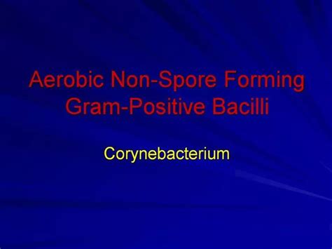 Ppt Aerobic Non Spore Forming Gram Positive Bacilli Powerpoint Presentation Id
