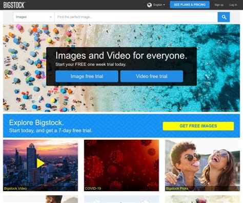 Bigstockphoto Site Review Microstock Insider Guide To Selling Photos