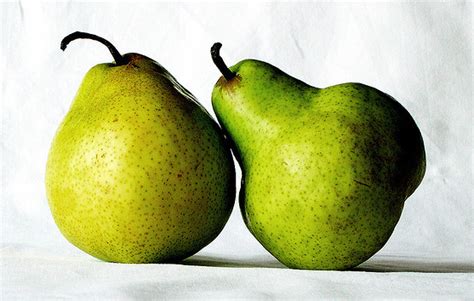 Oregon State Fruit Pear