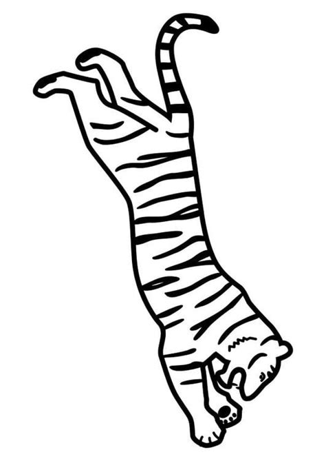 Dibujo Para Colorear Tigre Saltando Dibujos Para Imprimir Gratis Porn