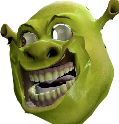 Shrek Dankmemes Creepy Dank Funny Sticker By Chi 19