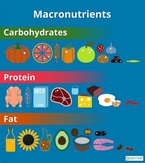 Todays Blog Post We Are Going To Review The Nutrition Basics