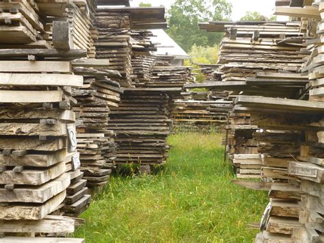 Kiln dry lumber at home: Rows of air drying lumber and natural edge slabs ...