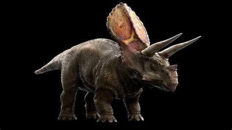 top 5 ceratopsians youtube