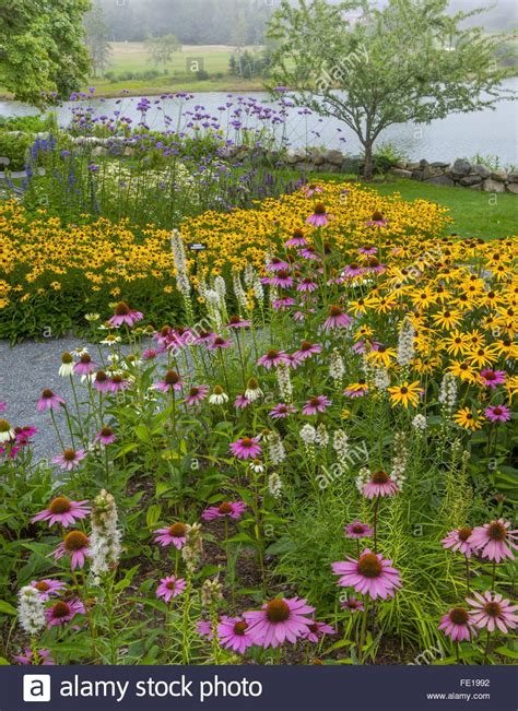 Butterfly Garden Park Near Me Cristopher Boehm