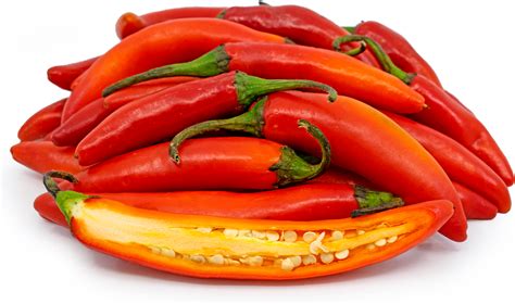 Red Serrano Chile Peppers Information Recipes And Facts