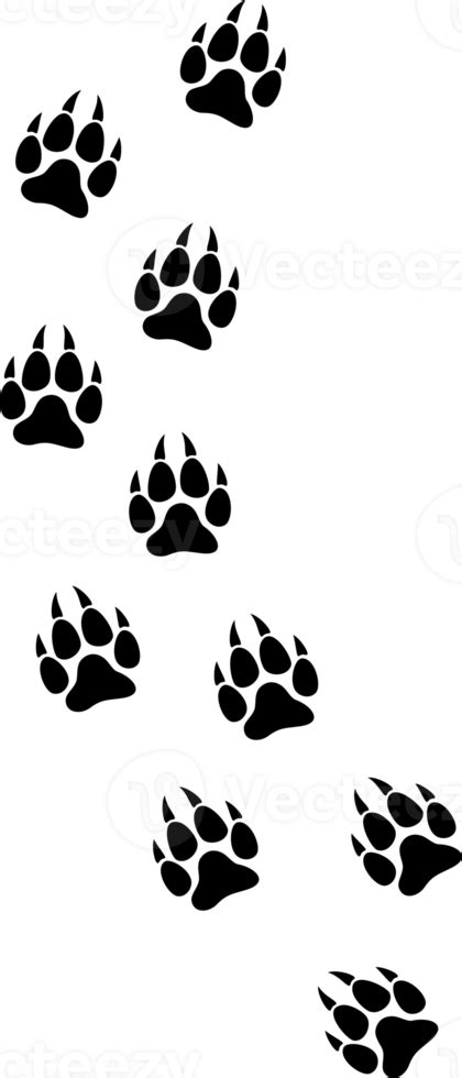 Wolf Paw Prints Track 13393272 Png