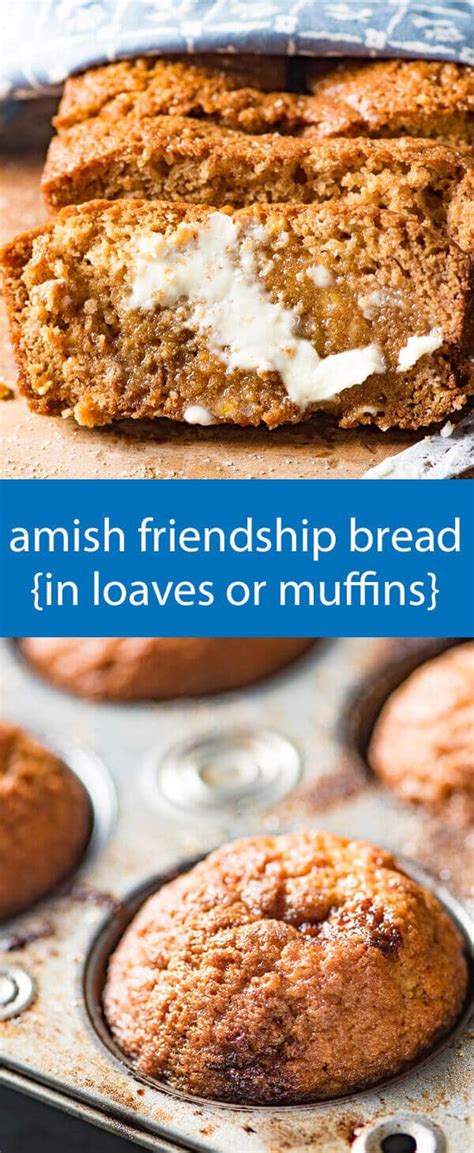 This amish sourdough starter bread recipe will allow you to prepare amish bread that is also known as friendship bread. Amish Friendship Bread Recipe {With Sweet Sourdough. Makes Two Loaves!}