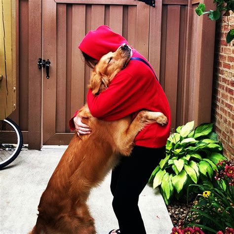 15 Dogs Hugging Their Owners Images To Make You Feel Warm And Fuzzy
