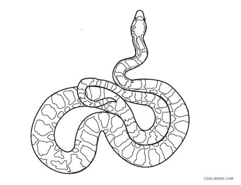 Reptiles are cool pets, and we've found the 7 best to chill with, from small to large to very large. Free Printable Snake Coloring Pages For Kids