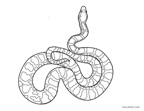 Coloring is an amazing activity for little kids. Free Printable Snake Coloring Pages For Kids