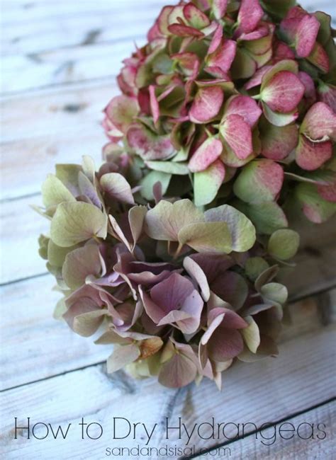 For your gifting convenience our flowers can also be found in different gifting categories such as birthday flowers for her and birthday flowers for him. How to Dry Hydrangeas | Dried hydrangeas, Dried flowers ...