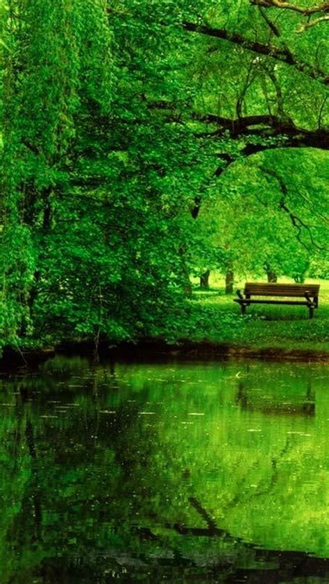 Download 63 Wallpaper Iphone Nature Green Gambar Terbaik Postsid