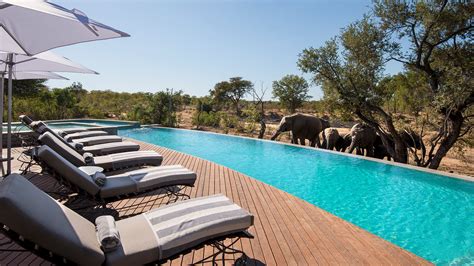 There Are More Safari Options In South Africa Beyond Kruger Discover Africa Safaris